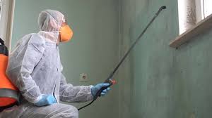 Why You Should Choose Our Mold Remediation Services in Hamburg, IA