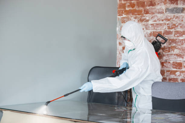 Mold Remediation for Vacation Homes in Hamburg, IA